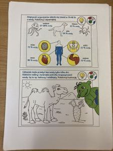 Kartka na której jest ćwiczenie dotyczące wody