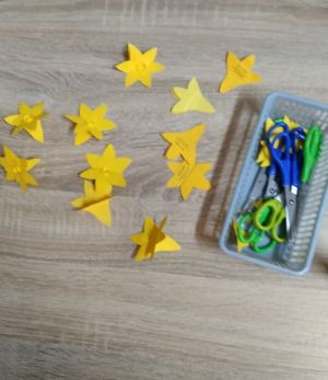 493714450_1355536652646380_3855217959332788851_n