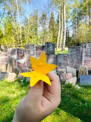 493855647_1355536522646393_4203888124351029263_n