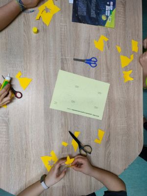 493993132_1355536479313064_5555748657367390924_n