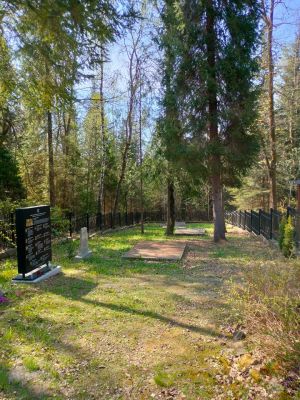 494286769_1355536569313055_7832772459405579734_n