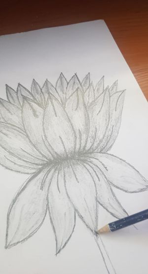 96851273-4edc-46af-a1ea-e7b417352a5b