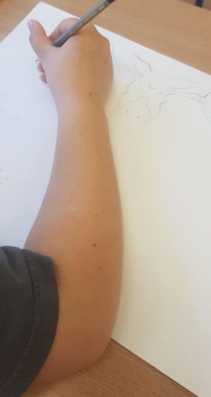 d21a4768-6ab9-4cc0-b531-5150e1d8dd8b