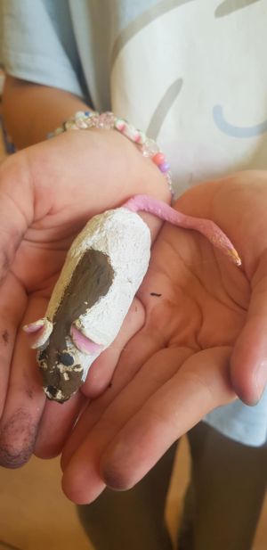 d2af9121-5b15-4873-8ae6-6ec998a13c4c