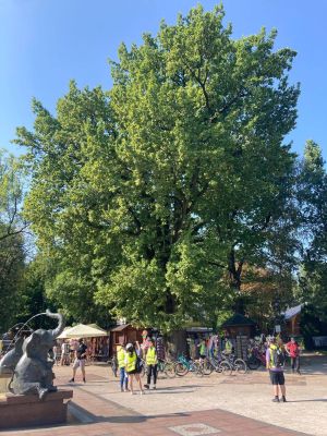 542568974_122130387956907867_8507302843198201671_n