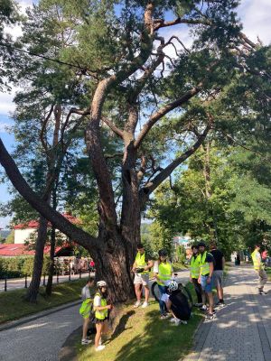 543412786_122130387728907867_4861590360959078687_n