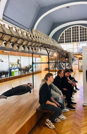 547107809_122132763854907867_6167242496458689124_n